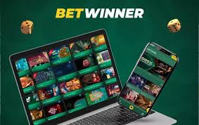 استكشف عالم Betwinner أفضل خيارات المراهنات في السوق المصري