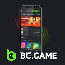 Comprehensive BC Game Reviews Insights and Analysis