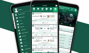 Complete Guide to BetWinner Registration -854797089