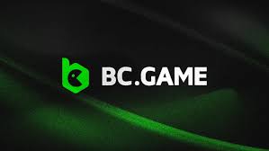 Comprehensive Review of BC App Features, Pros, and Cons