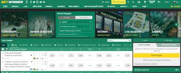 Discover the Exciting World of the BetWinner Online Gambling Platform