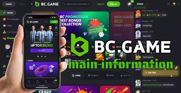 Comprehensive Guide to the BC.Game Login Process Comprehensive Guide to the BC.Game Login Process